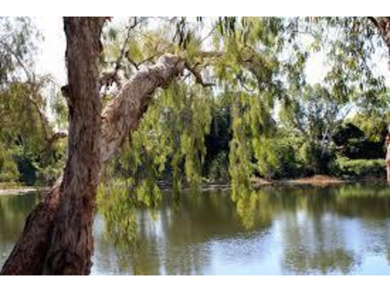 2 Triller Place, Douglas QLD 4814