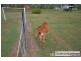 2211 Hervey Range Road, Hervey Range QLD 4817