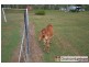 2211 Hervey Range Road, Hervey Range QLD 4817