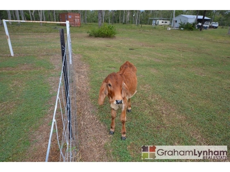 2211 Hervey Range Road, Hervey Range QLD 4817