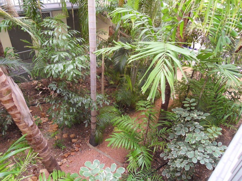 18/6 Hale Street, Townsville City QLD 4810