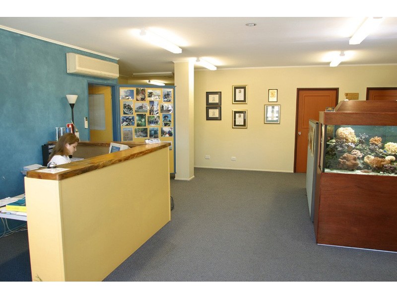 20A Cowley Street, West End QLD 4810