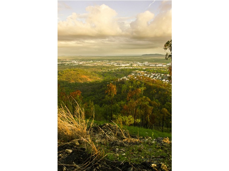 Mount Louisa QLD 4814