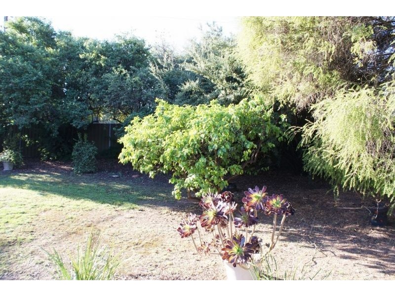 Redwood Park SA 5097