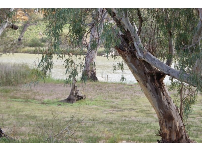 Swan Reach SA 5354
