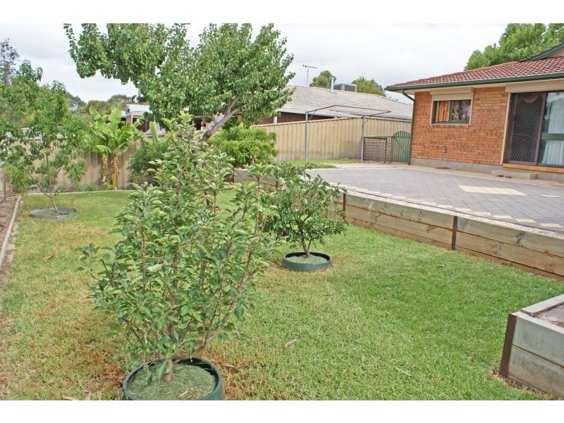 Modbury Heights SA 5092