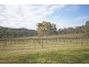 Williamstown SA 5351
