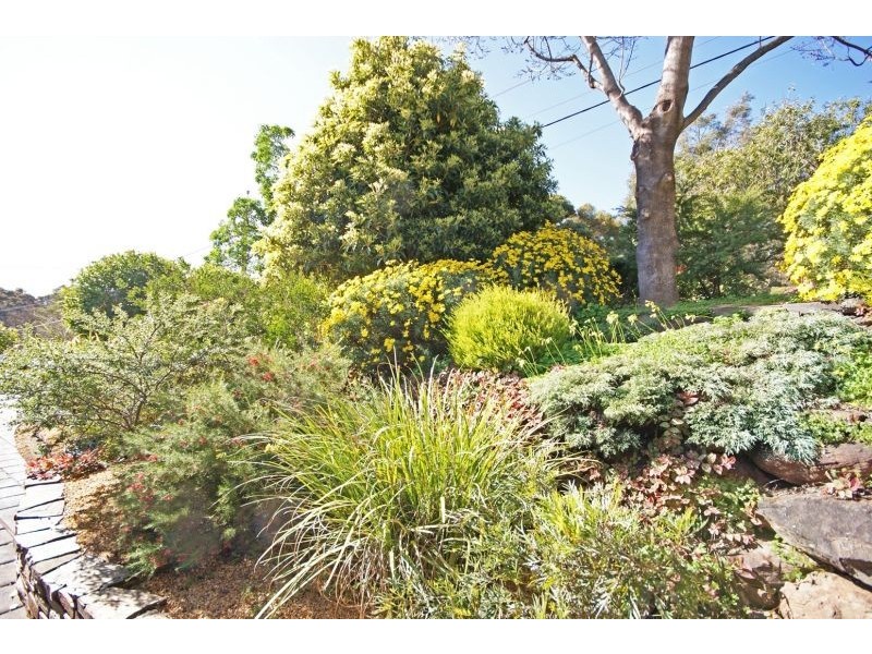 Tea Tree Gully SA 5091