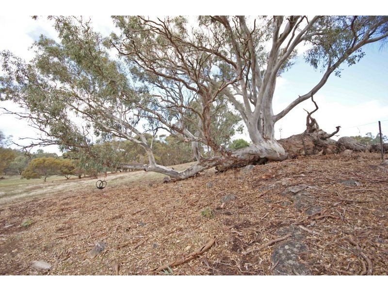 151 Woolshed Road, Kersbrook SA 5231