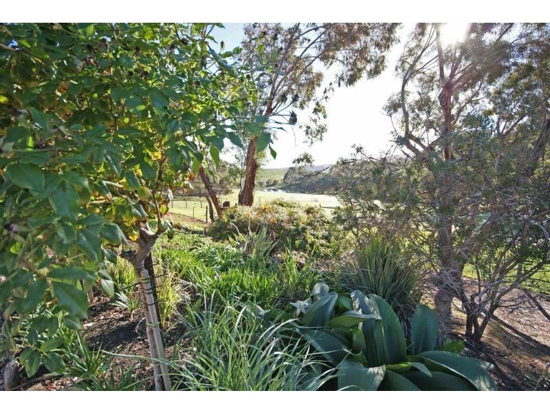 151 Woolshed Road, Kersbrook SA 5231