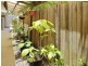 11 VOLUNTEER STREET, Newport QLD 4020