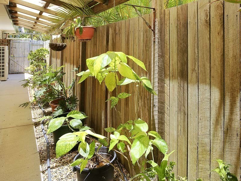 11 VOLUNTEER STREET, Newport QLD 4020