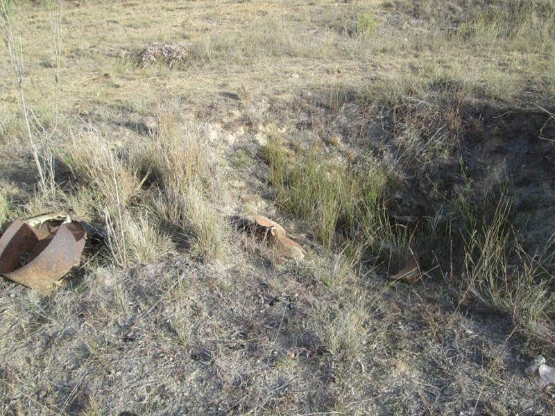 Karara QLD 4352