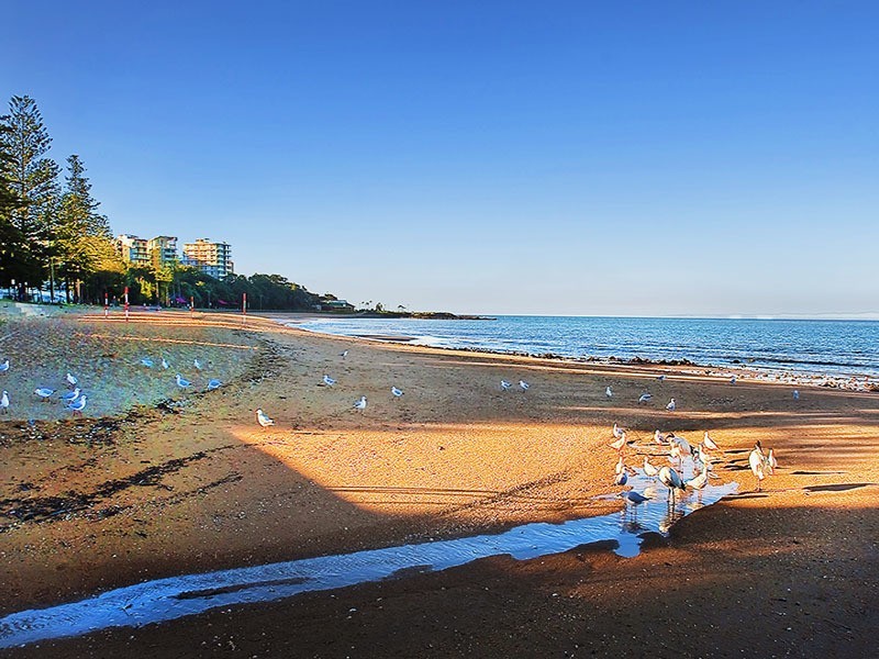 29 MACDONNELL ROAD, Margate QLD 4019