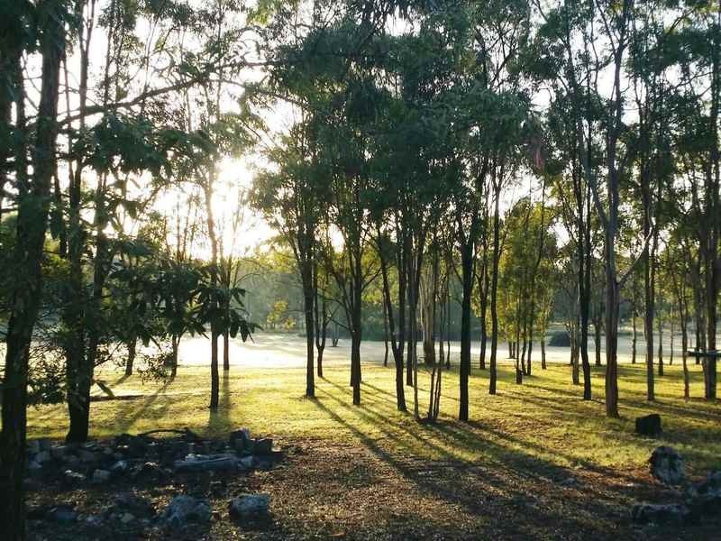 161 BROCKLEHURST RD, Wattle Camp QLD 4615