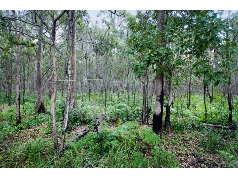 1/8 CHELSEA STREET, Kippa-ring QLD 4021