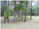 LOT 299 STOTTENVILLE ROAD, Bauple QLD 4650