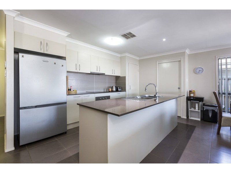 51 DAINTREE CIRCUIT, North Lakes QLD 4509