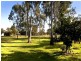 4 MC GREGOR STREET, Kippa-ring QLD 4021
