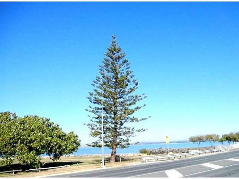 194 HORNIBROOK ESP, Woody Point QLD 4019