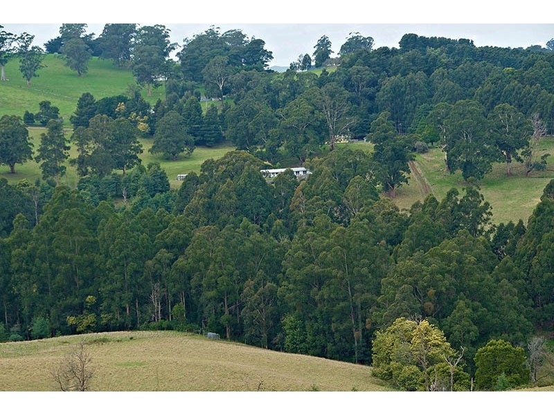 146 Allambee South Road, Thorpdale VIC 3835