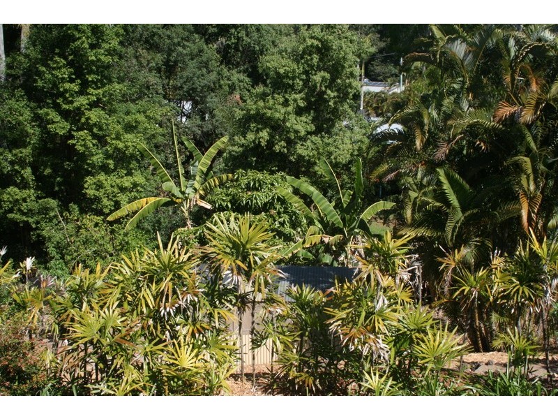 18 Palana Crt, Buderim QLD 4556
