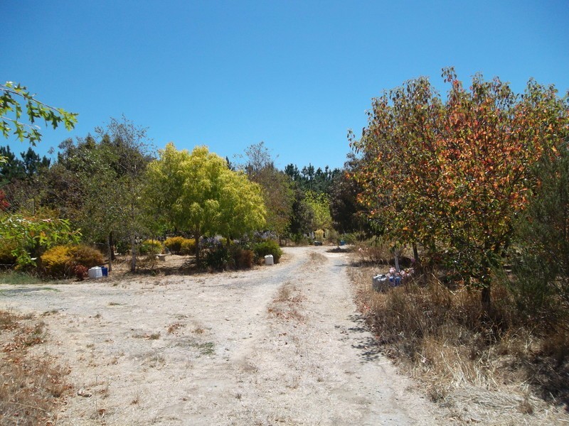 24 Herrmanns Road, Mount Torrens SA 5244