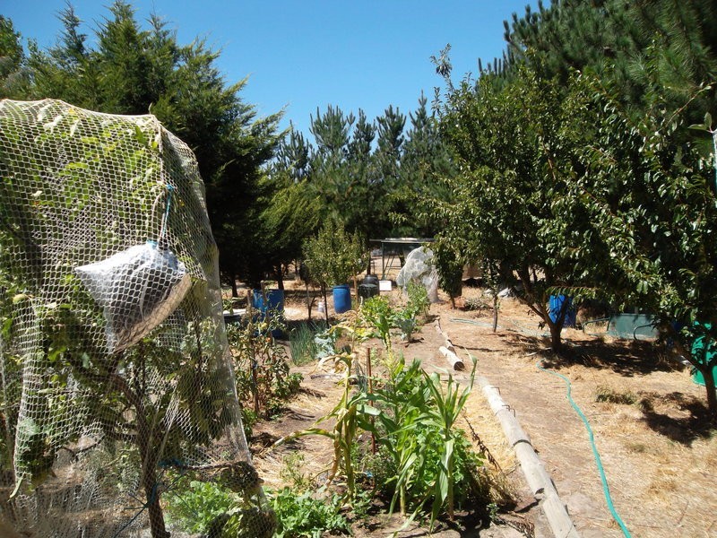 24 Herrmanns Road, Mount Torrens SA 5244