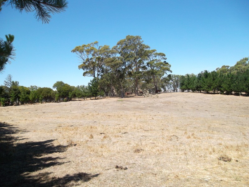 24 Herrmanns Road, Mount Torrens SA 5244