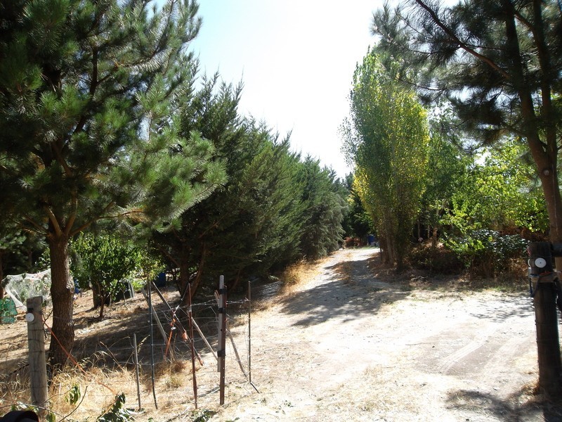 24 Herrmanns Road, Mount Torrens SA 5244