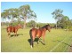 Lot 325 Gregory Street, Howard QLD 4659
