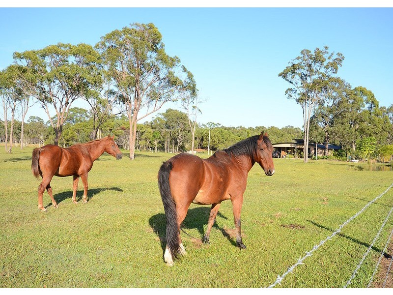 Lot 325 Gregory Street, Howard QLD 4659