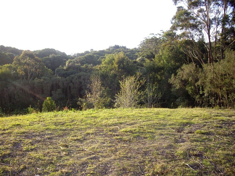 2675 Springbrook Road, Springbrook QLD 4213