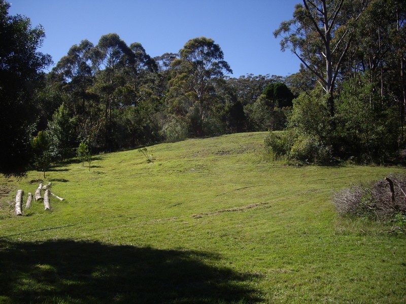 2675 Springbrook Road, Springbrook QLD 4213