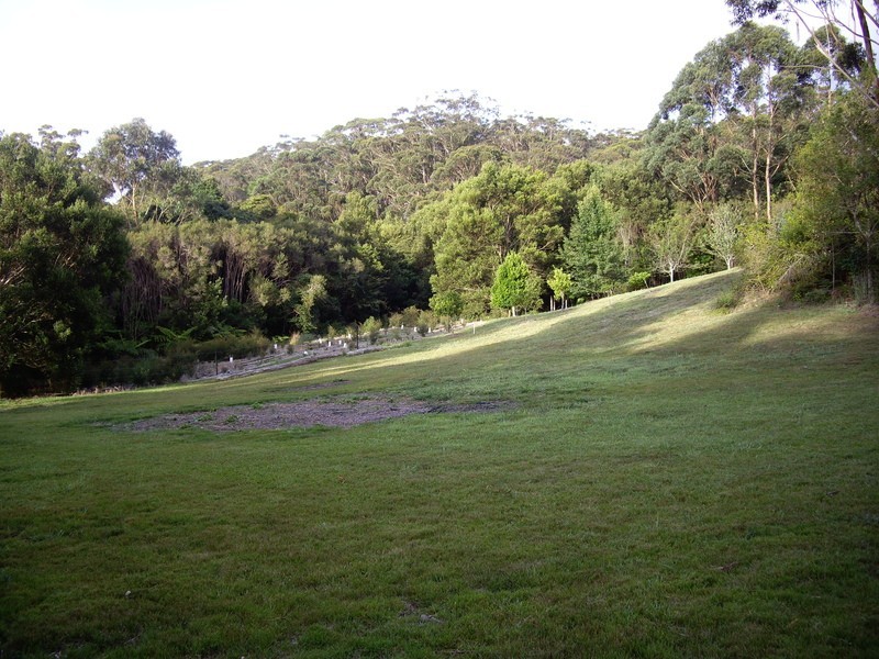 2675 Springbrook Road, Springbrook QLD 4213