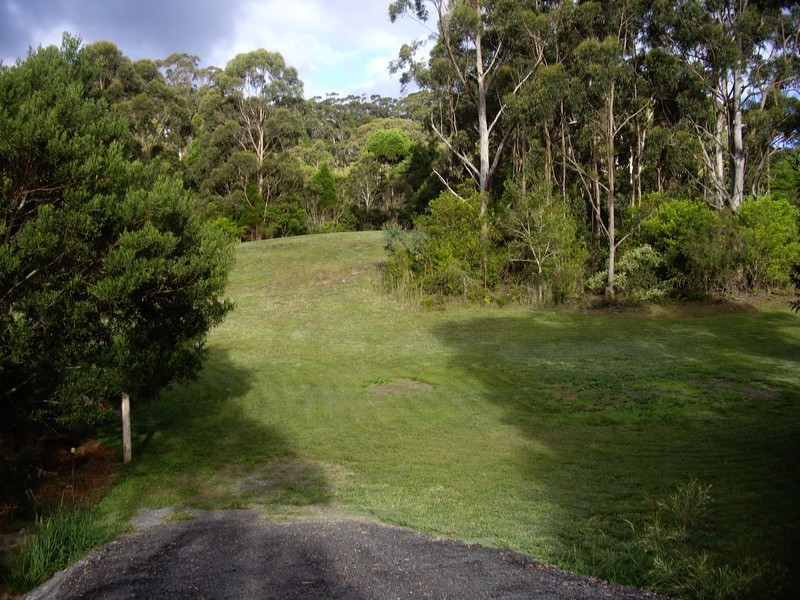 2675 Springbrook Road, Springbrook QLD 4213