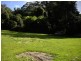 2675 Springbrook Road, Springbrook QLD 4213