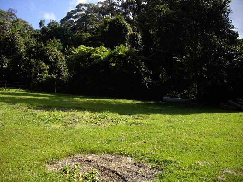 2675 Springbrook Road, Springbrook QLD 4213