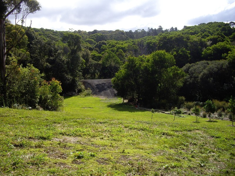 2675 Springbrook Road, Springbrook QLD 4213