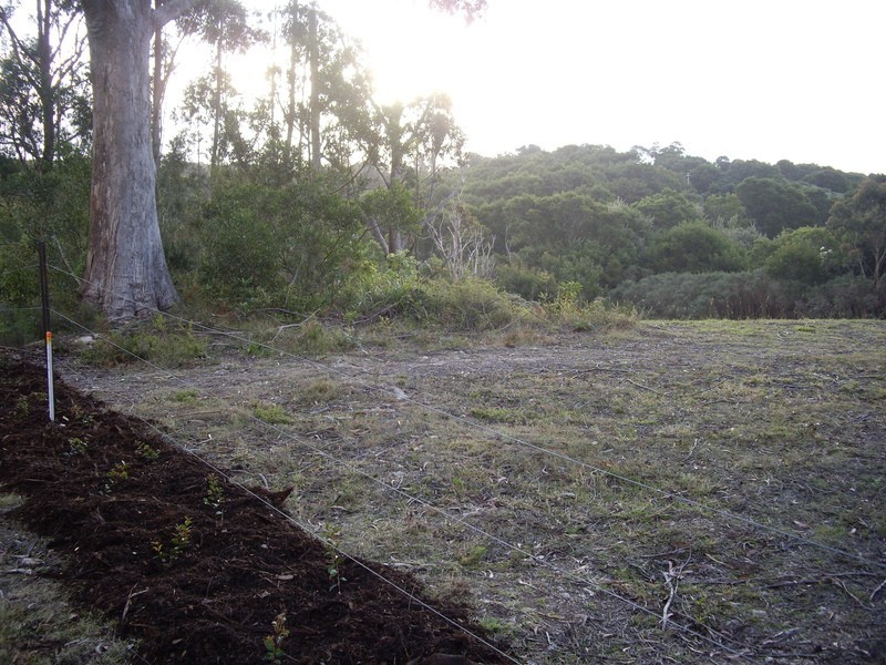 2675 Springbrook Road, Springbrook QLD 4213