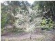 2675 Springbrook Road, Springbrook QLD 4213