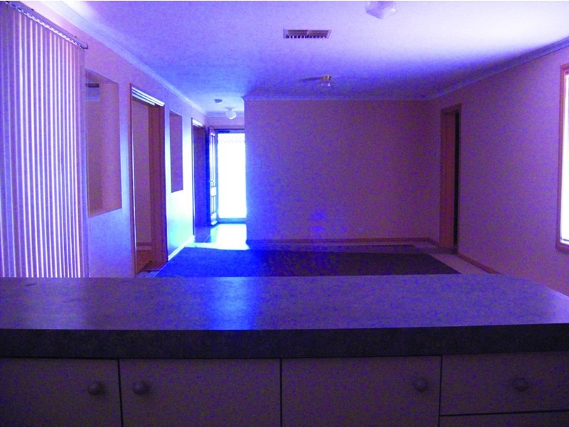 3 Turro Place, Newman WA 6753