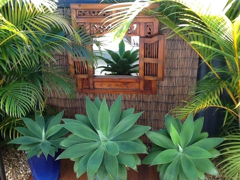 7 JOAN ST, Burleigh Waters QLD 4220