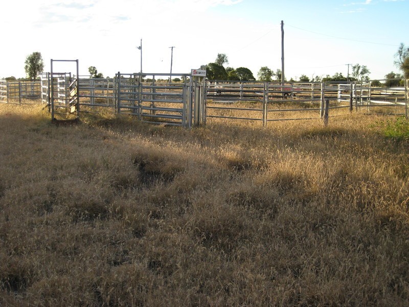 Blackwater QLD 4717