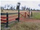 Blackwater QLD 4717