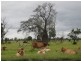Blackwater QLD 4717