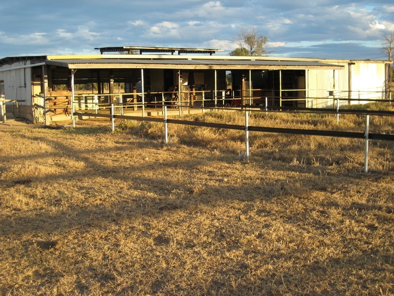 Blackwater QLD 4717