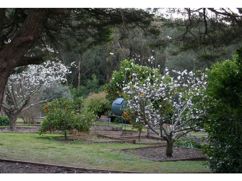 Belimbla Park NSW 2570