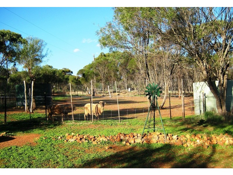 Lot 50 Picnic Hill Road, Toodyay WA 6566