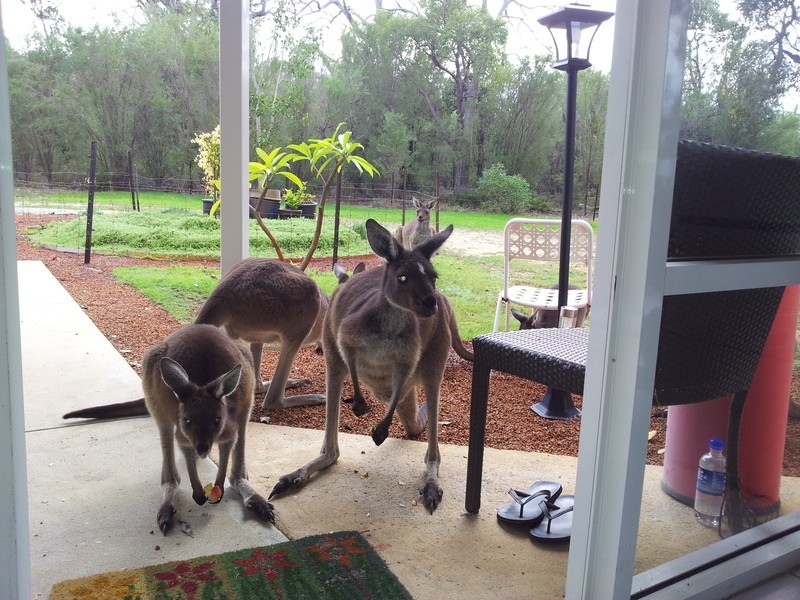 168 Watson Drive, Barragup WA 6209